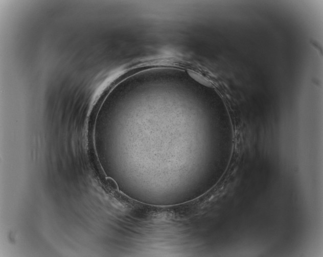 X0000103410200200809191553