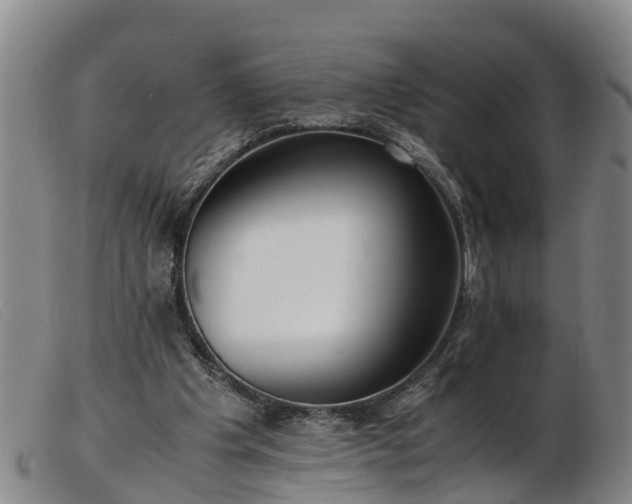 X0000103410201200809191553