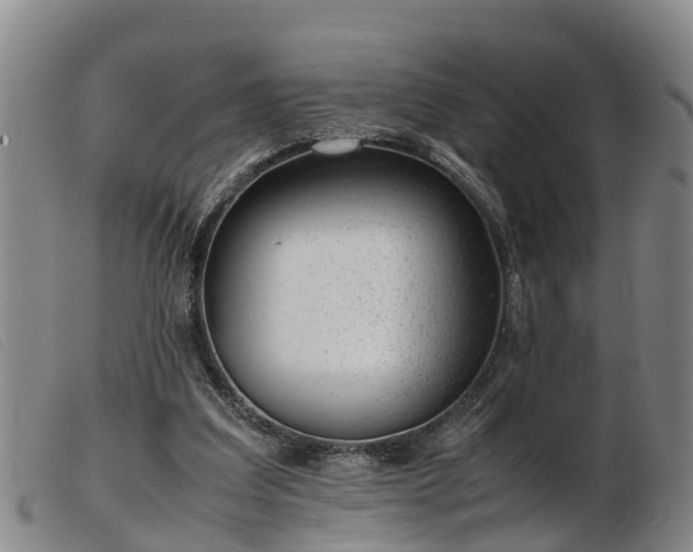 X0000103410203200809191553