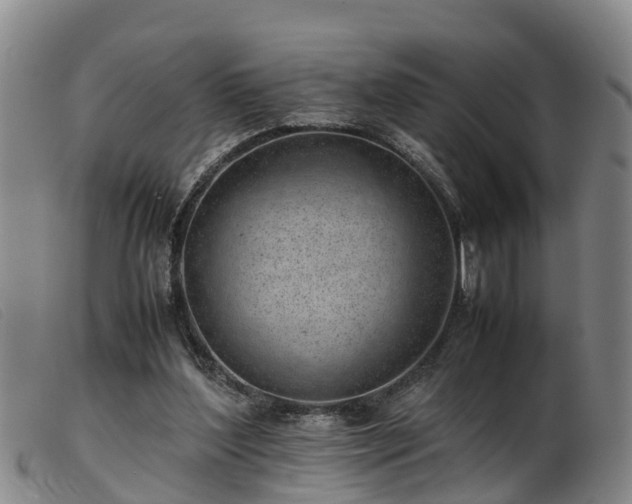 X0000103410204200809191553