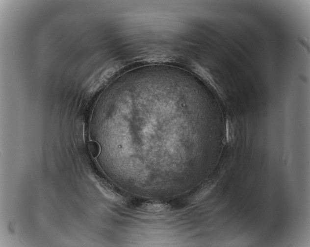 X0000103410205200809191553