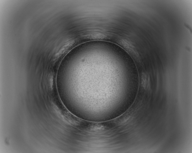 X0000103410206200809191553