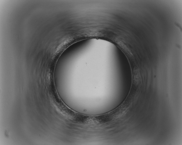 X0000103410207200809191553