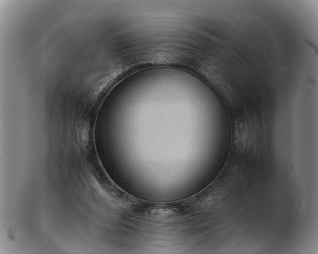 X0000103410208200809191553