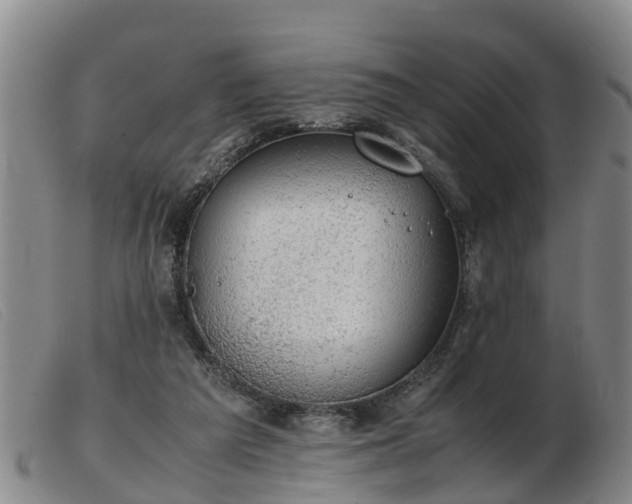 X0000103410209200809191553