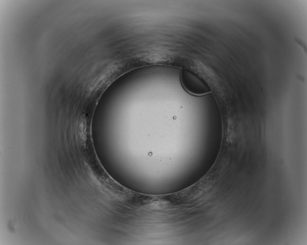 X0000103410210200809191553