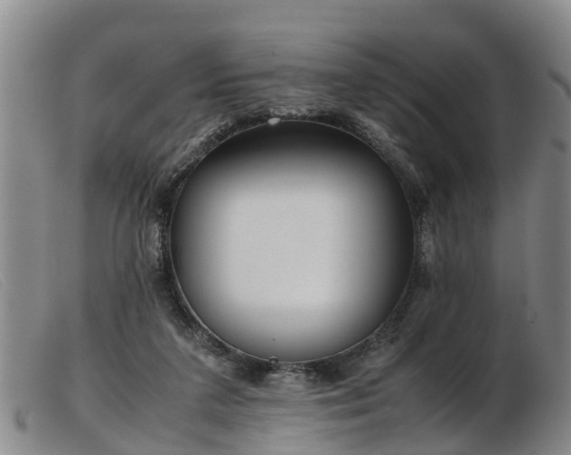 X0000103410211200809191553