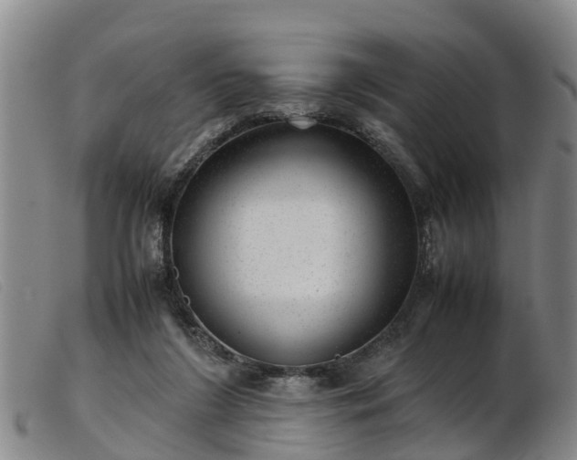 X0000103410212200809191553