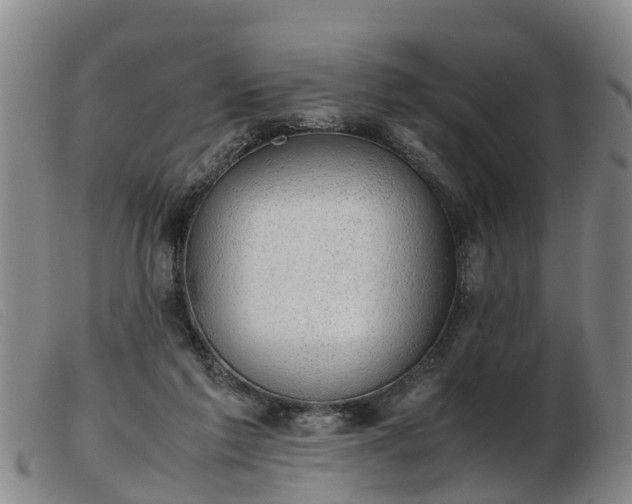 X0000103410213200809191553