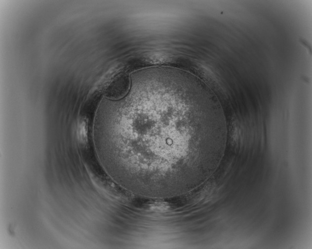 X0000103410214200809191553