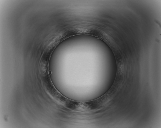 X0000103410215200809191553