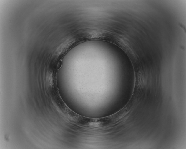 X0000103410216200809191553