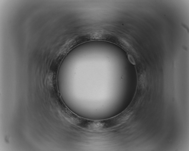 X0000103410217200809191553