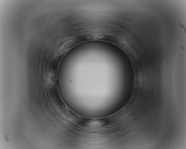 X0000103410218200809191553