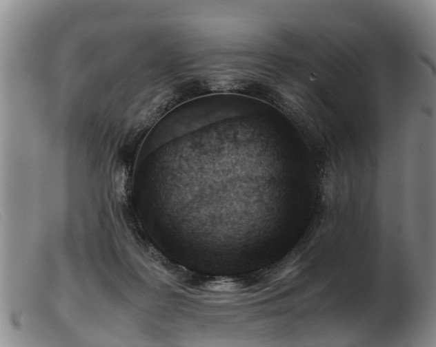 X0000103410219200809191553