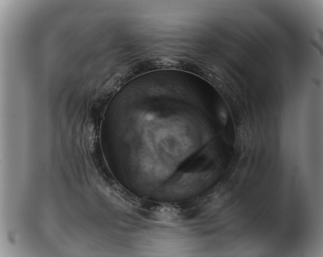 X0000103410223200809191552