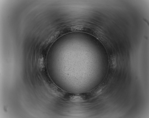 X0000103410224200809191552