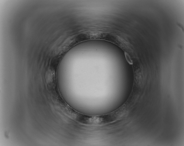 X0000103410225200809191552