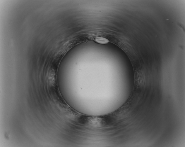 X0000103410226200809191552