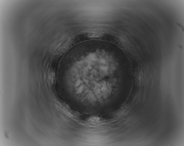 X0000103410227200809191552