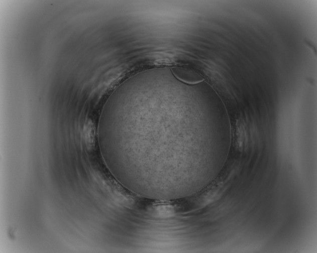 X0000103410228200809191552