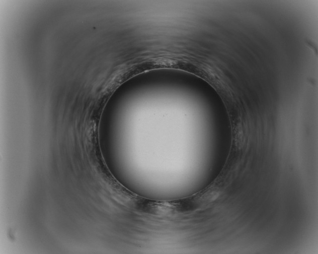 X0000103410229200809191552