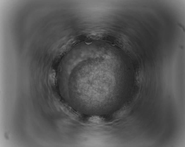 X0000103410231200809191552