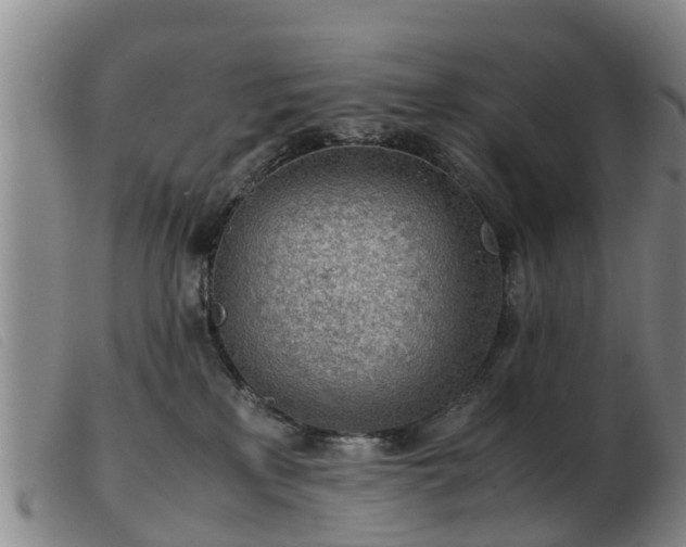 X0000103410233200809191552