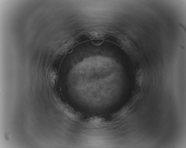 X0000103410235200809191552