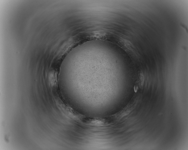 X0000103410236200809191552