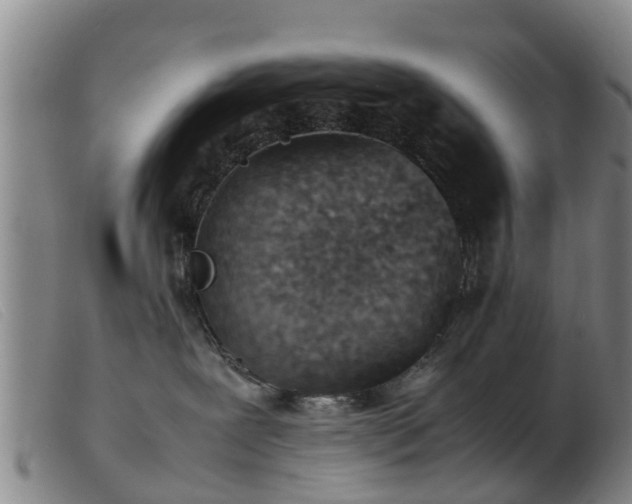 X0000103410239200809191552