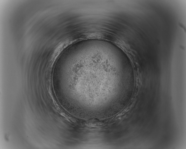 X0000103410241200809191552