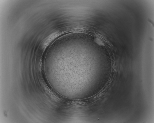 X0000103410242200809191552