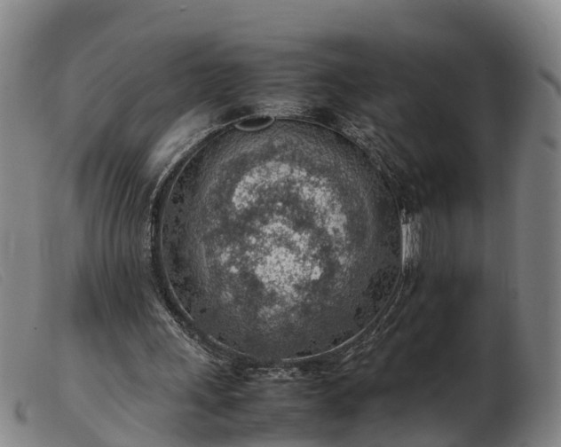 X0000103410243200809191552