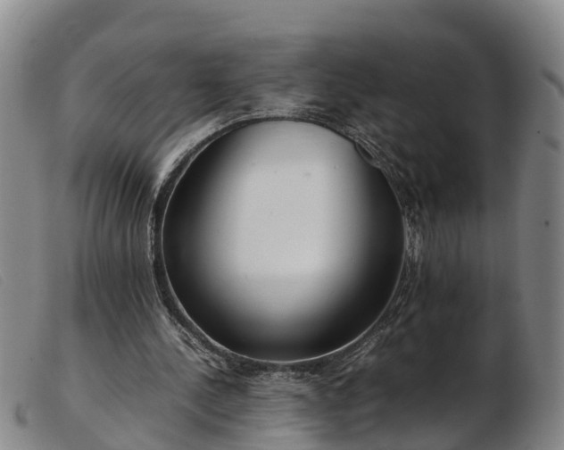 X0000103410244200809191552