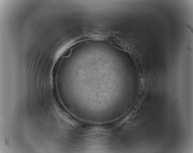 X0000103410246200809191552