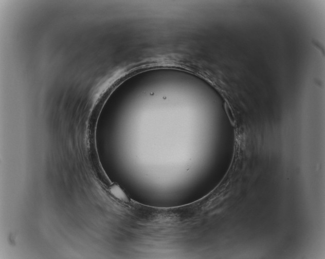 X0000103410248200809191552