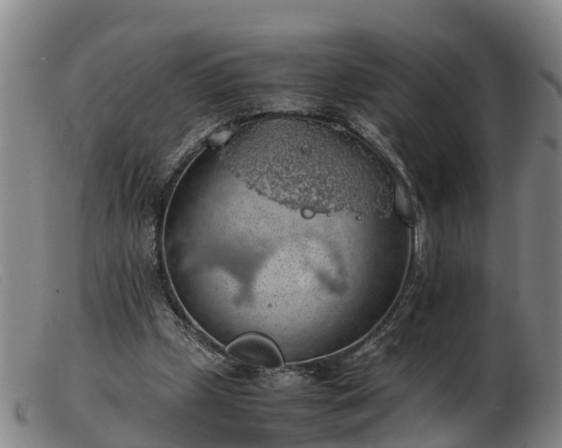 X0000103410249200809191552