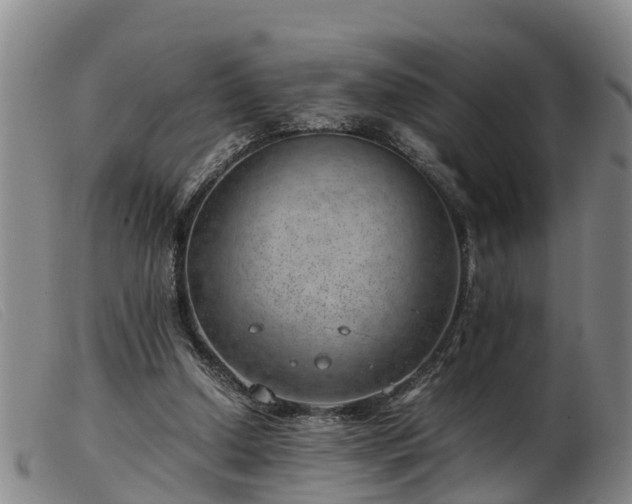 X0000103410250200809191552