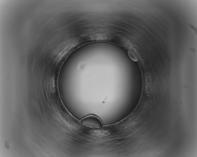 X0000103410251200809191552