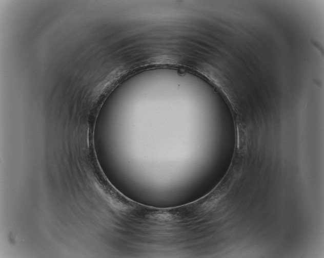 X0000103410253200809191552