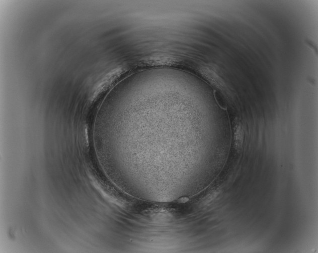 X0000103410254200809191552