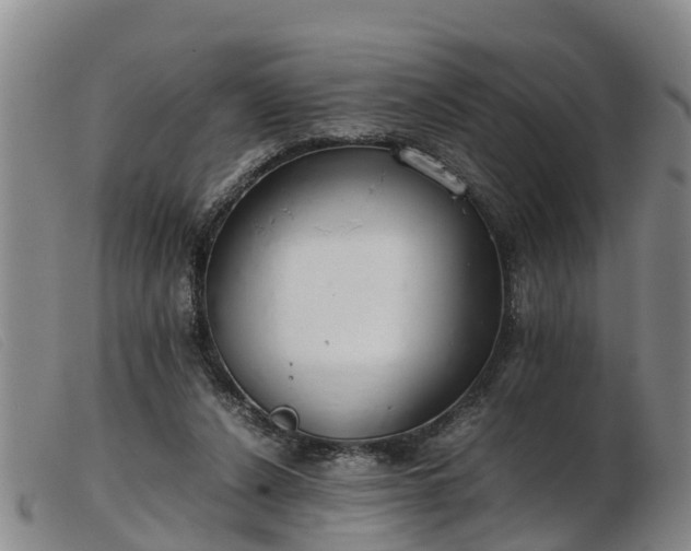 X0000103410256200809191552