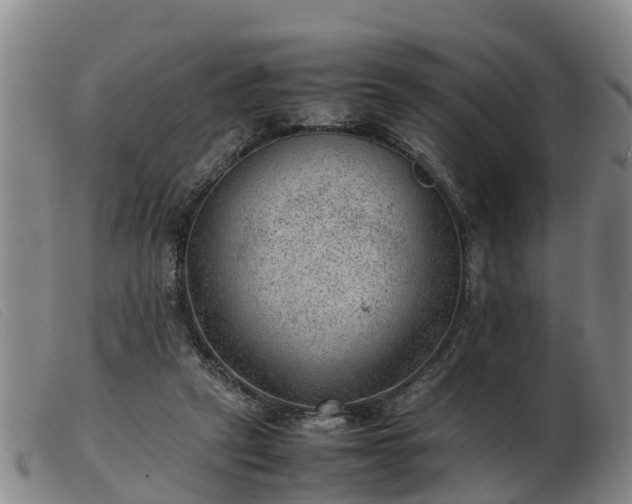 X0000103410257200809191552