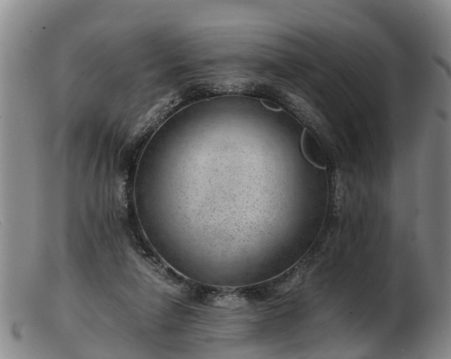 X0000103410258200809191552