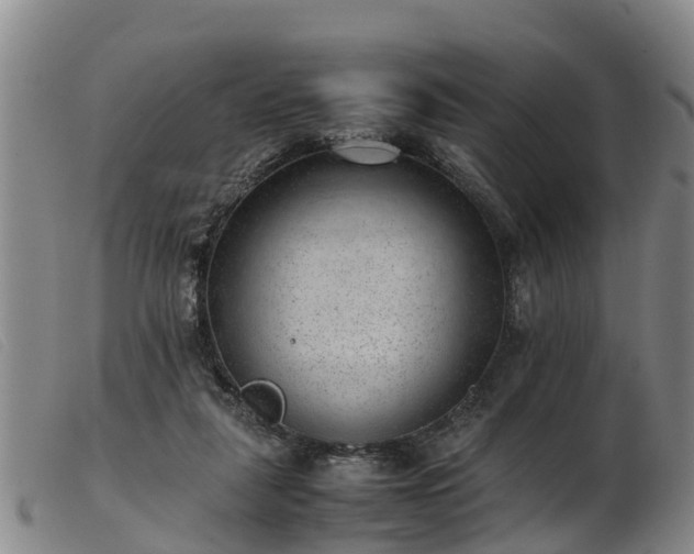 X0000103410259200809191552