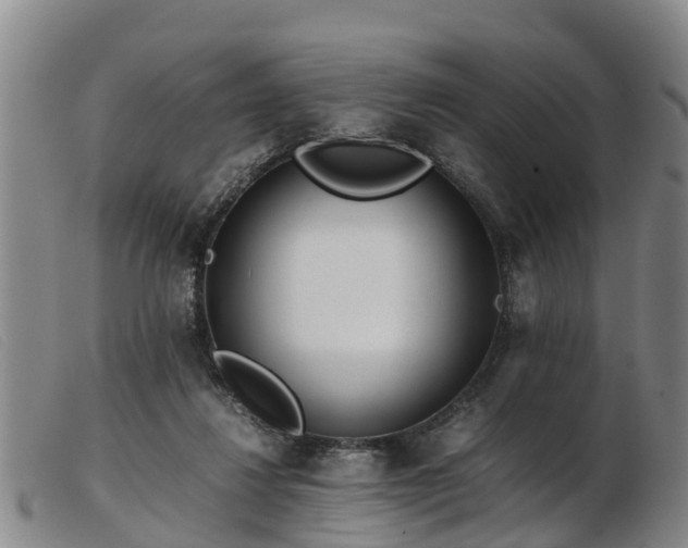 X0000103410260200809191552