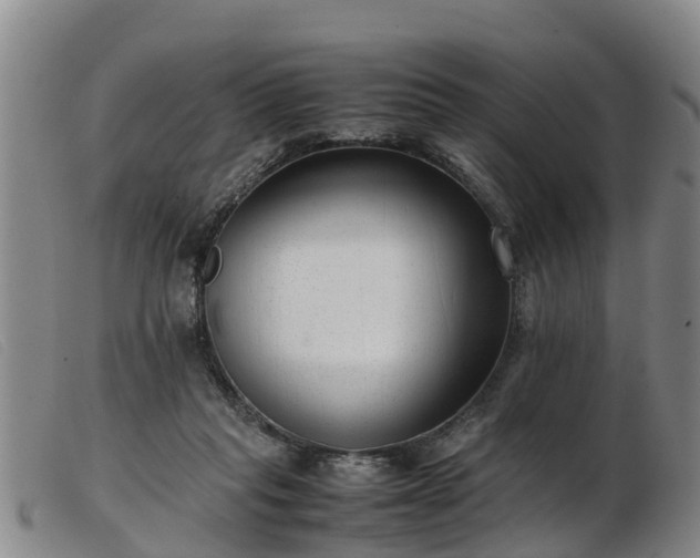 X0000103410261200809191552