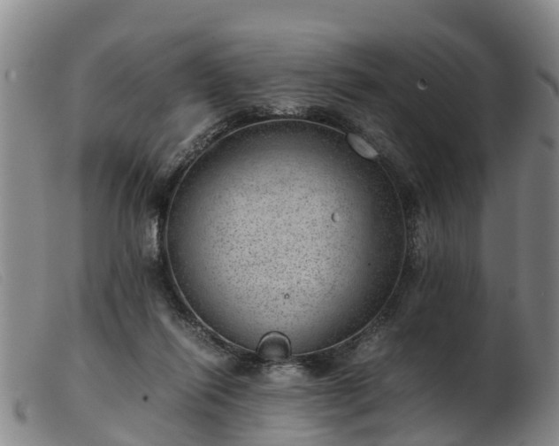 X0000103410262200809191552