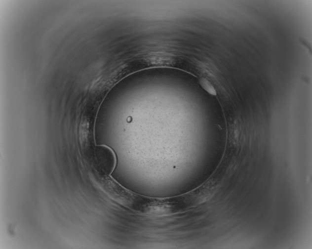 X0000103410263200809191552